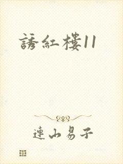 诱红楼11