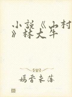 小说《山村情事》林大牛