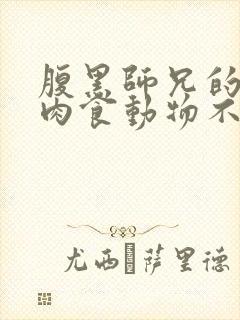 腹黑师兄的日常肉食动物不食草