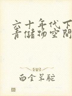 六十年代下乡知青储物空间