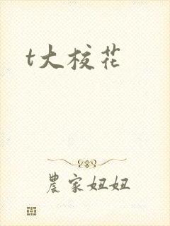 t大校花