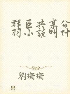 群臣共享公主银羽小说叫什么封面