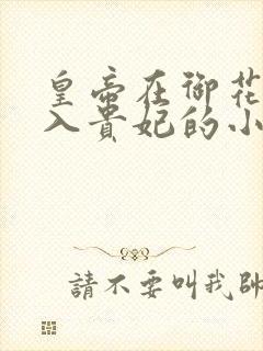 皇帝在御花园进入贵妃的小说