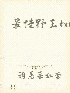 最佳野王txt封面