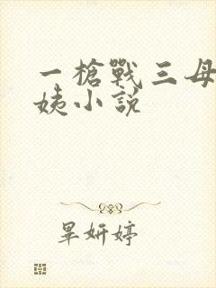 一枪战三母2雪姨小说封面