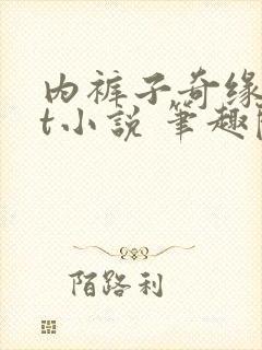 内裤子奇缘txt小说 笔趣阁