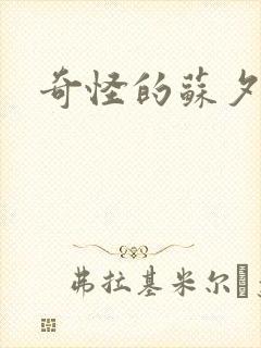 奇怪的苏夕封面