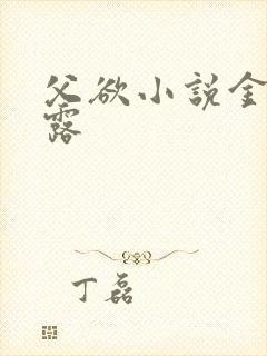 父欲小说金银花露封面