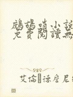 鹧鸪哨小说网站免费阅读无弹窗