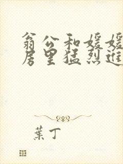 翁公和媛媛在厨房里猛烈进出封面