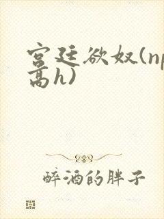 宫廷欲奴(np高h)封面