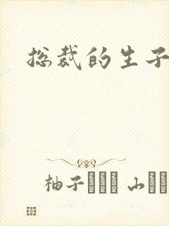 总裁的生子情人