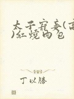 太子宠妾(高肉)红烧肉包