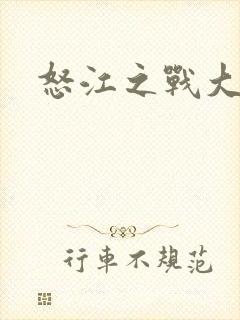 怒江之战大结局封面