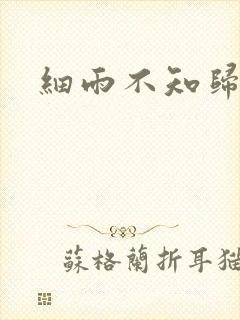 细雨不知归