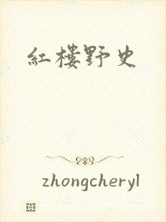 红楼野史