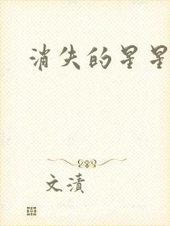 消失的星星封面