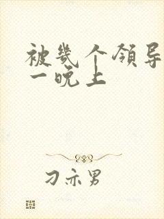 被几个领导玩弄一晚上