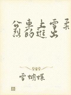 公车上雪柔被猛烈的进出