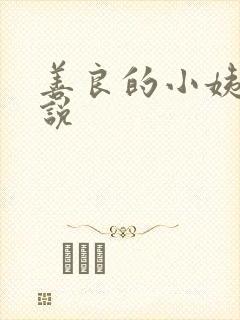 善良的小姨子小说