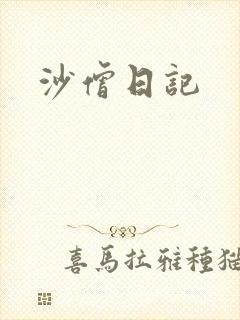 沙僧日记封面