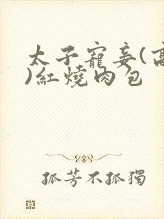 太子宠妾(高肉)红烧肉包