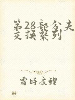 第28部分夫妇交换系列