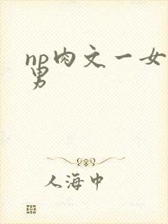 np肉文一女多男