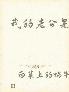 我的老公是冥王