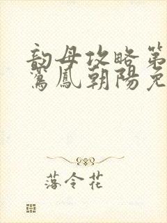 韵母攻略第二部鸾凤朝阳免费阅读