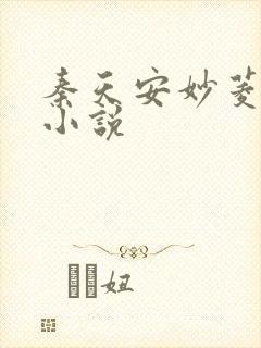 秦天安妙菱修仙小说