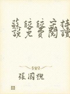 苏皎皎宋持的小说免费阅读