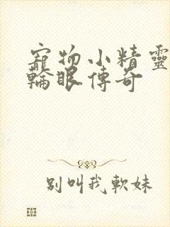 宠物小精灵之写轮眼传奇