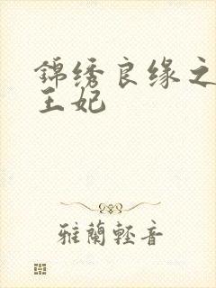 锦绣良缘之北地王妃