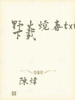 野火烧春txt下载