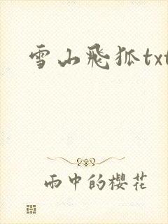 雪山飞狐txt