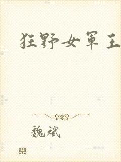 狂野女军王