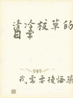 清冷校草的抹布日常