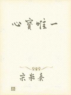 心宝唯一