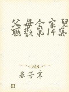 父母全家儿女大联欢第14集封面