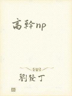高干np
