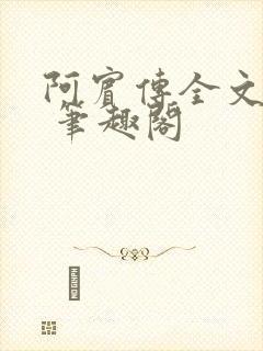 阿宾传全文阅读 笔趣阁