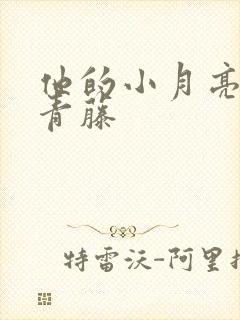 他的小月亮by青藤