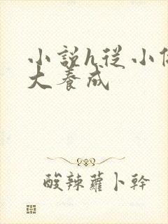 小说h从小做到大养成