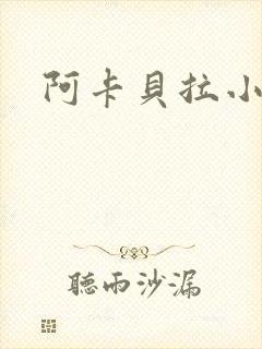 阿卡贝拉小说封面