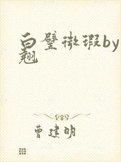 白璧微瑕by连翘