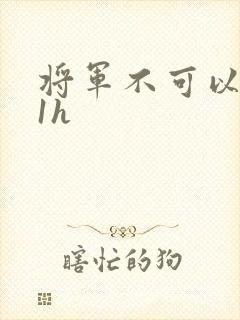 将军不可以1v1h封面