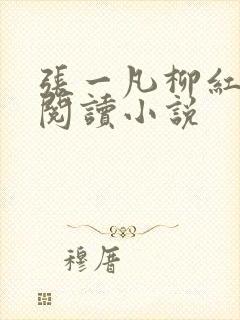 张一凡柳红免费阅读小说封面