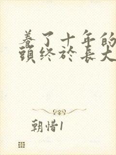 养了十年的小丫头终于长大了