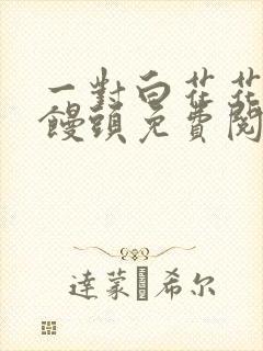 一对白花花的大馒头免费阅读